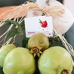 Апартаменты Rodia & *