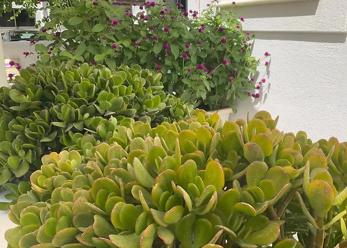 Rodia & Appartamento