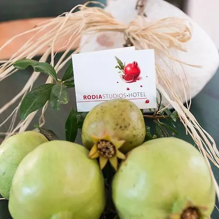 Apartament Rodia & *